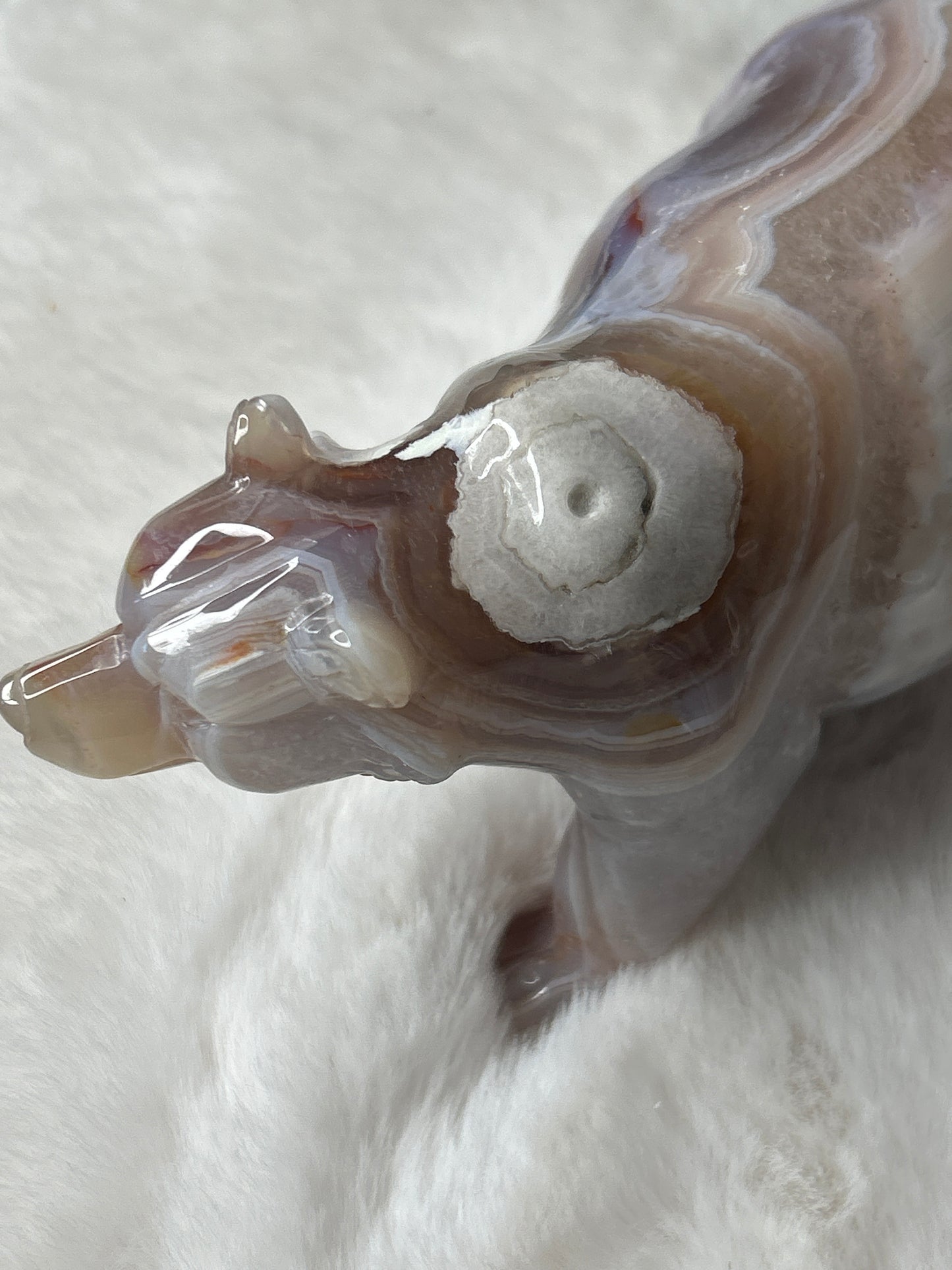 XL Flower Agate Bear