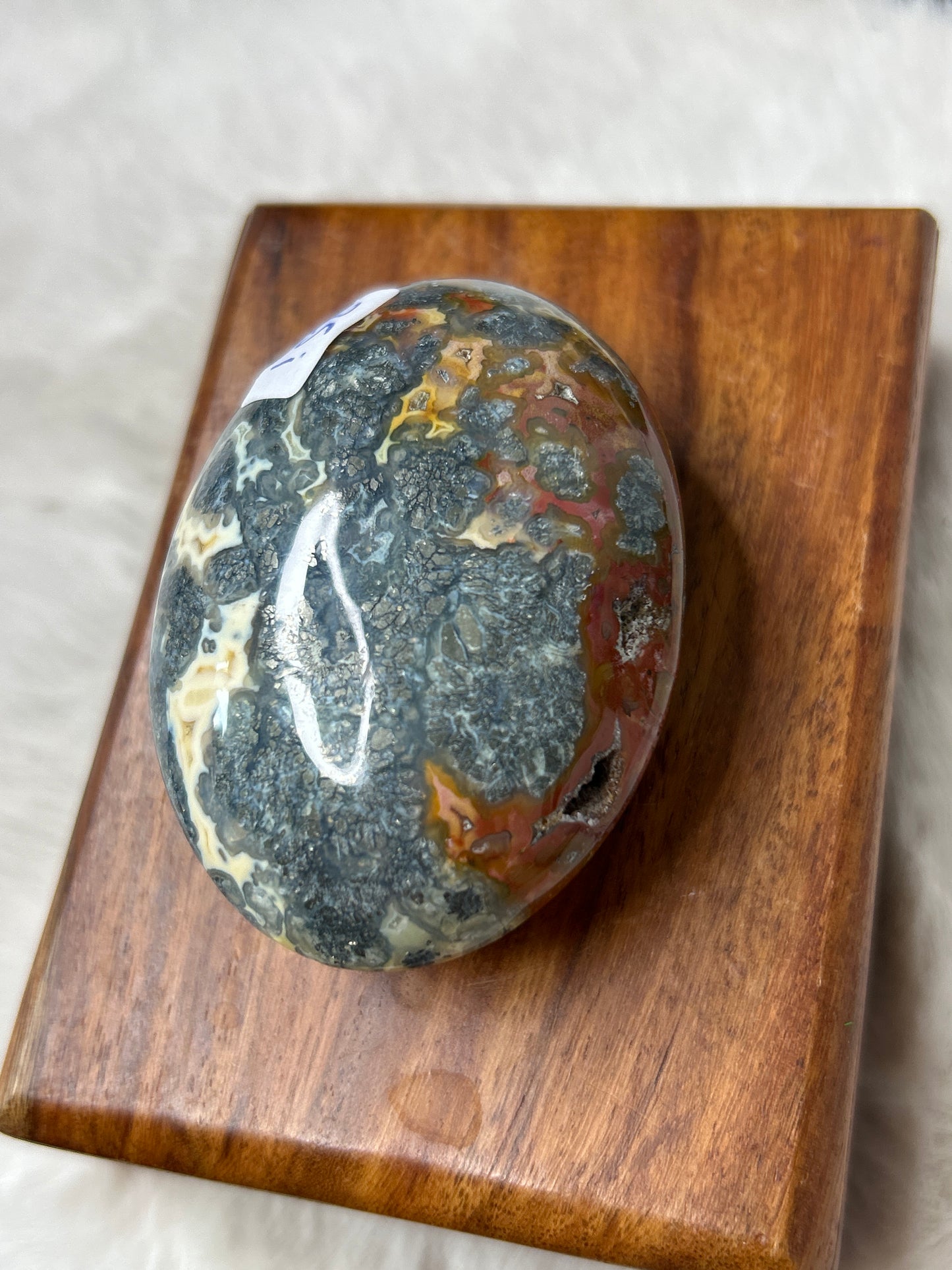 Marcasite & Agate Palm Stone- Indonesia