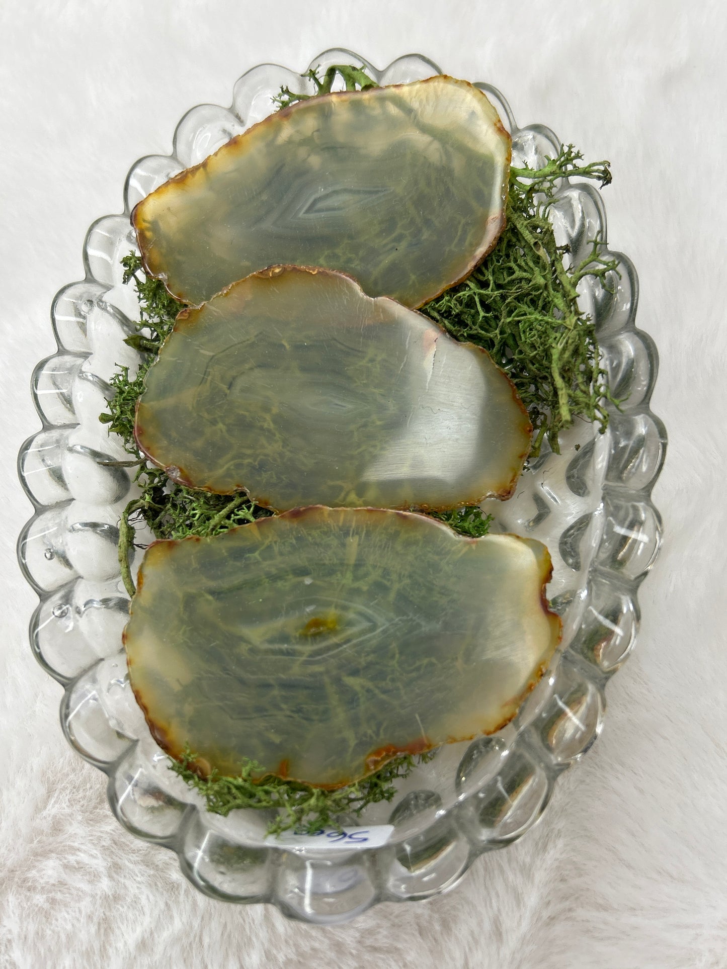 Iris Agate Slice π-Indonesia