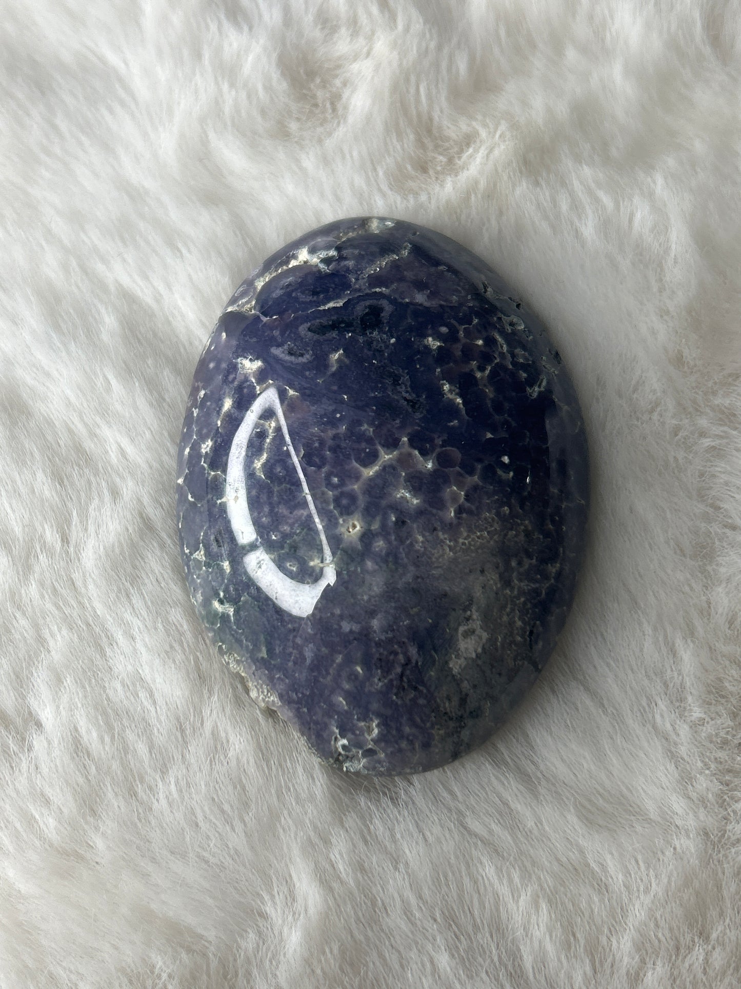 Grape Agate Palm