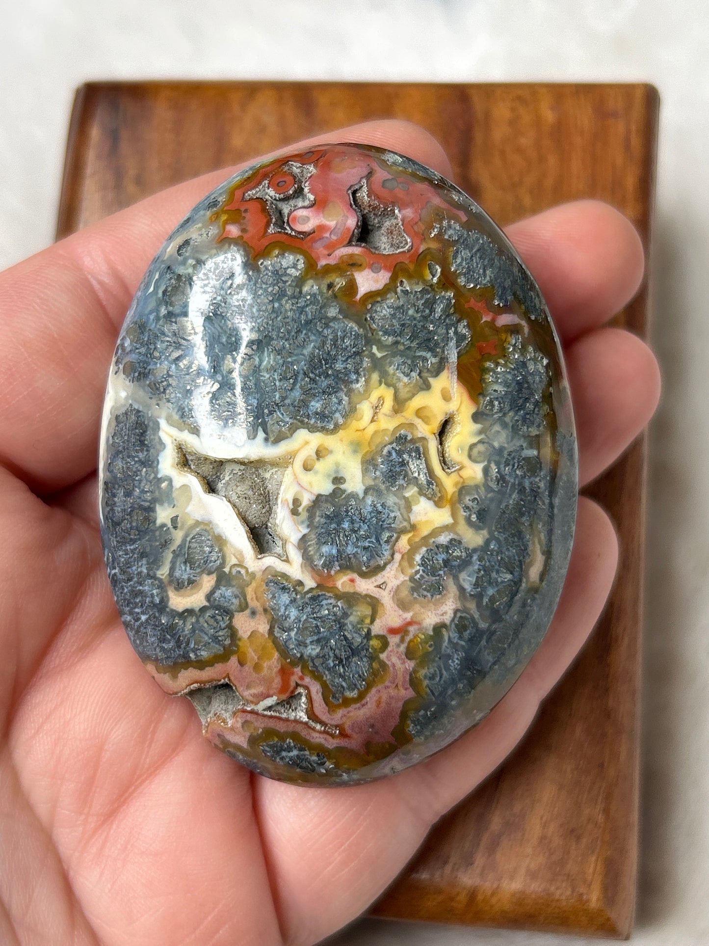 Marcasite & Agate Palm Stone - Indonesia