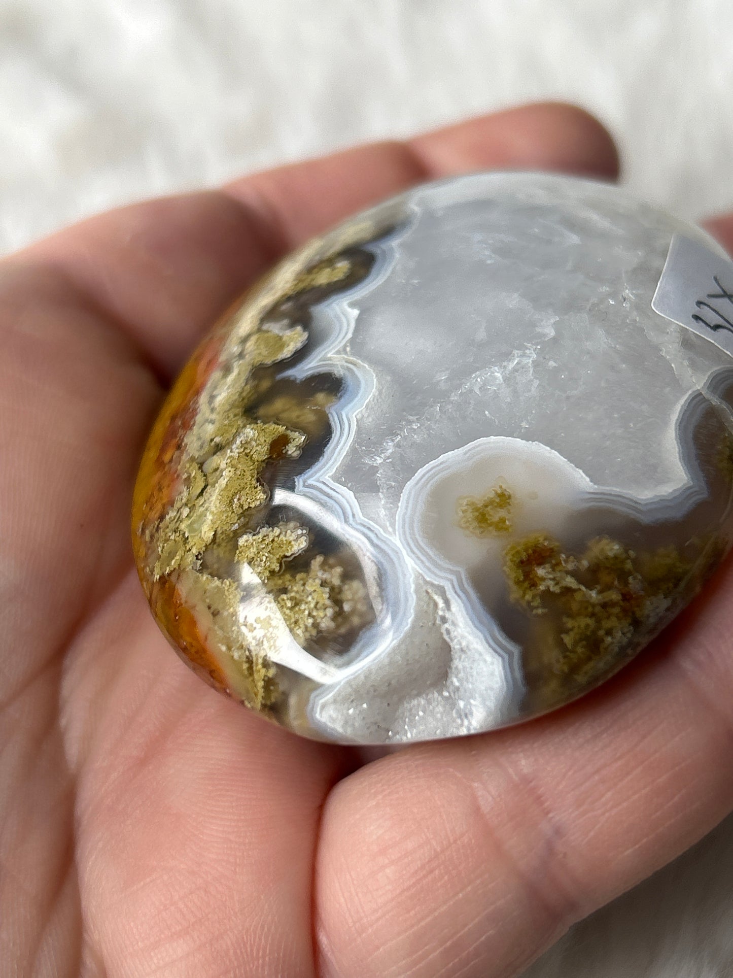 Scenic Moss Agate Palm