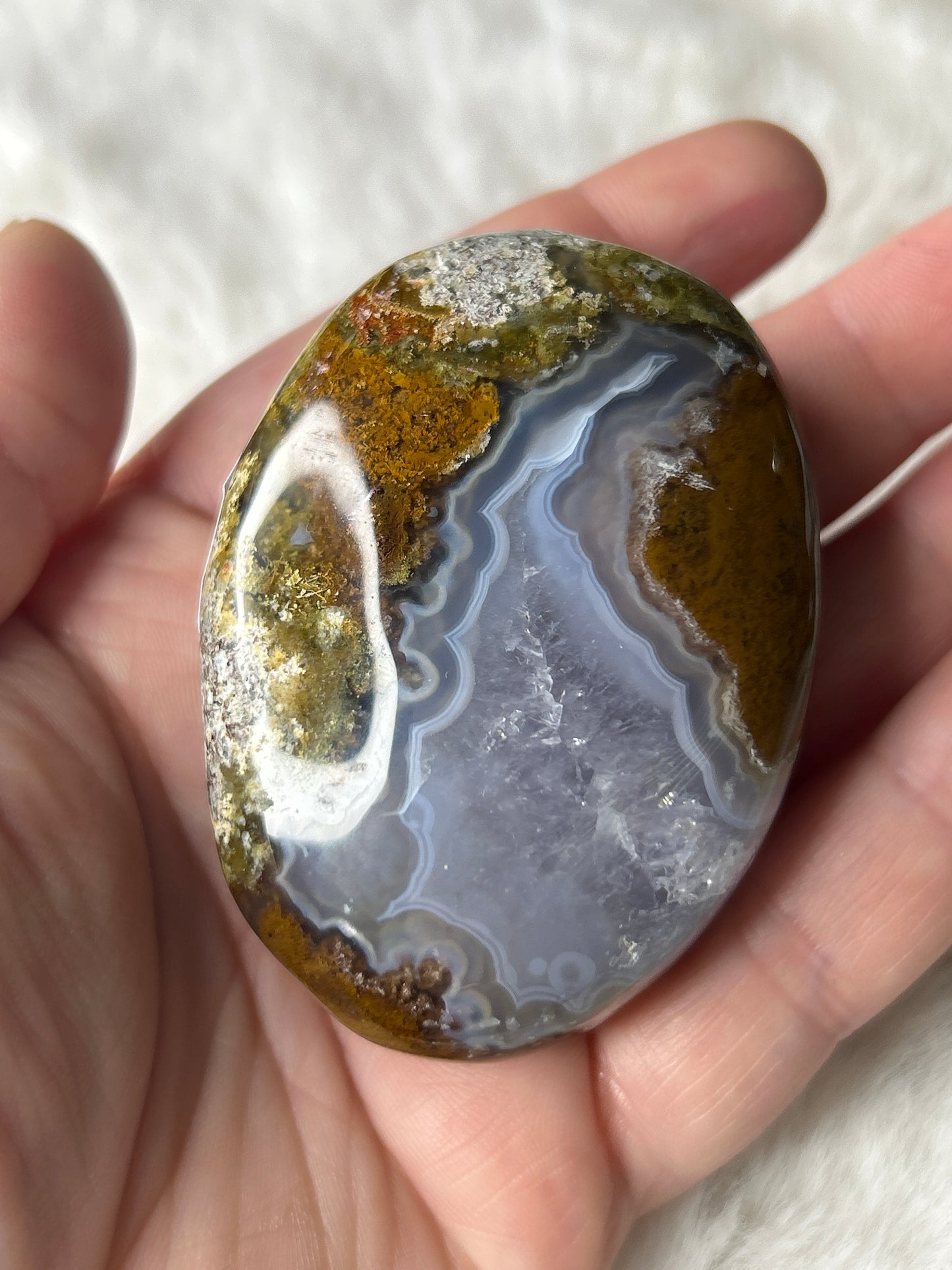 Scenic Moss Agate Palm