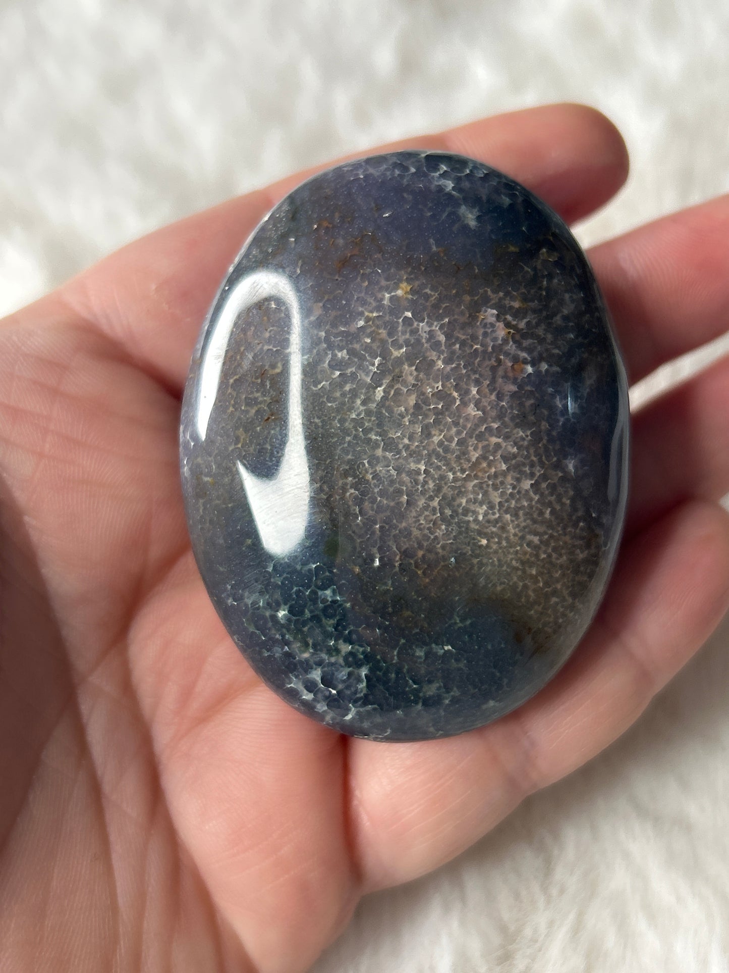 Grape Agate Palm