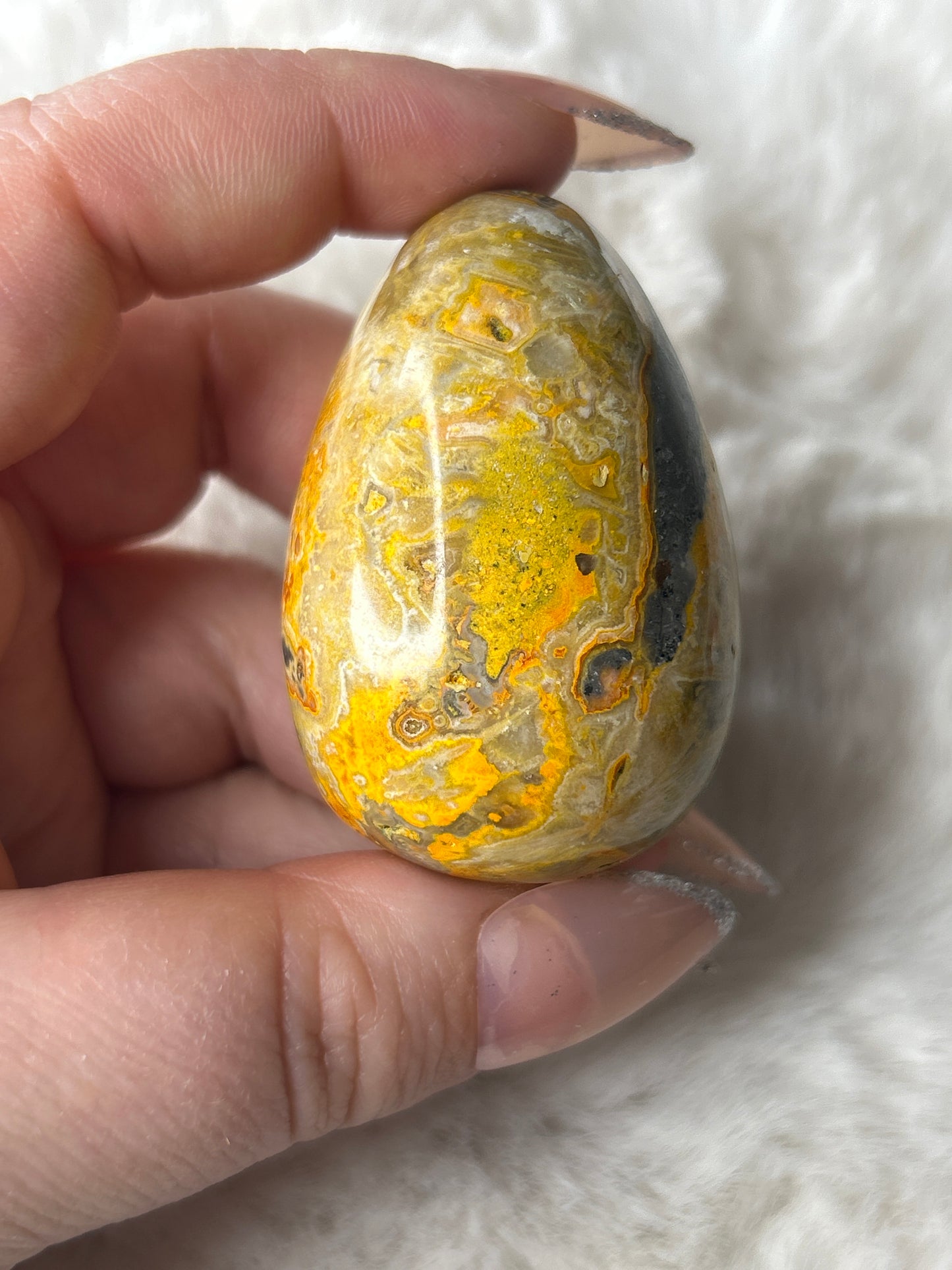 Bumblebee Jasper Egg