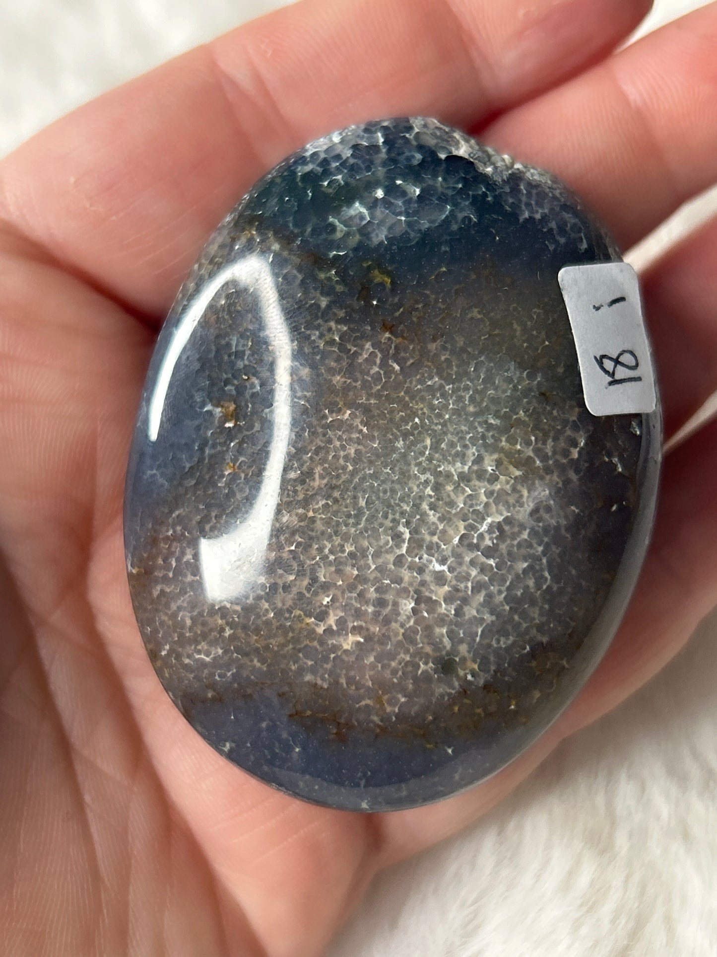 Grape Agate Palm