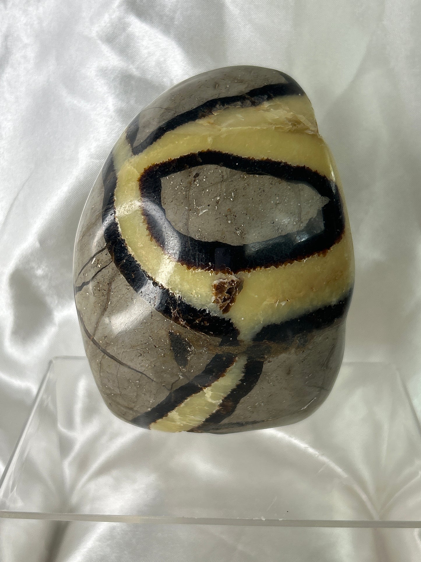Septarian Free Form