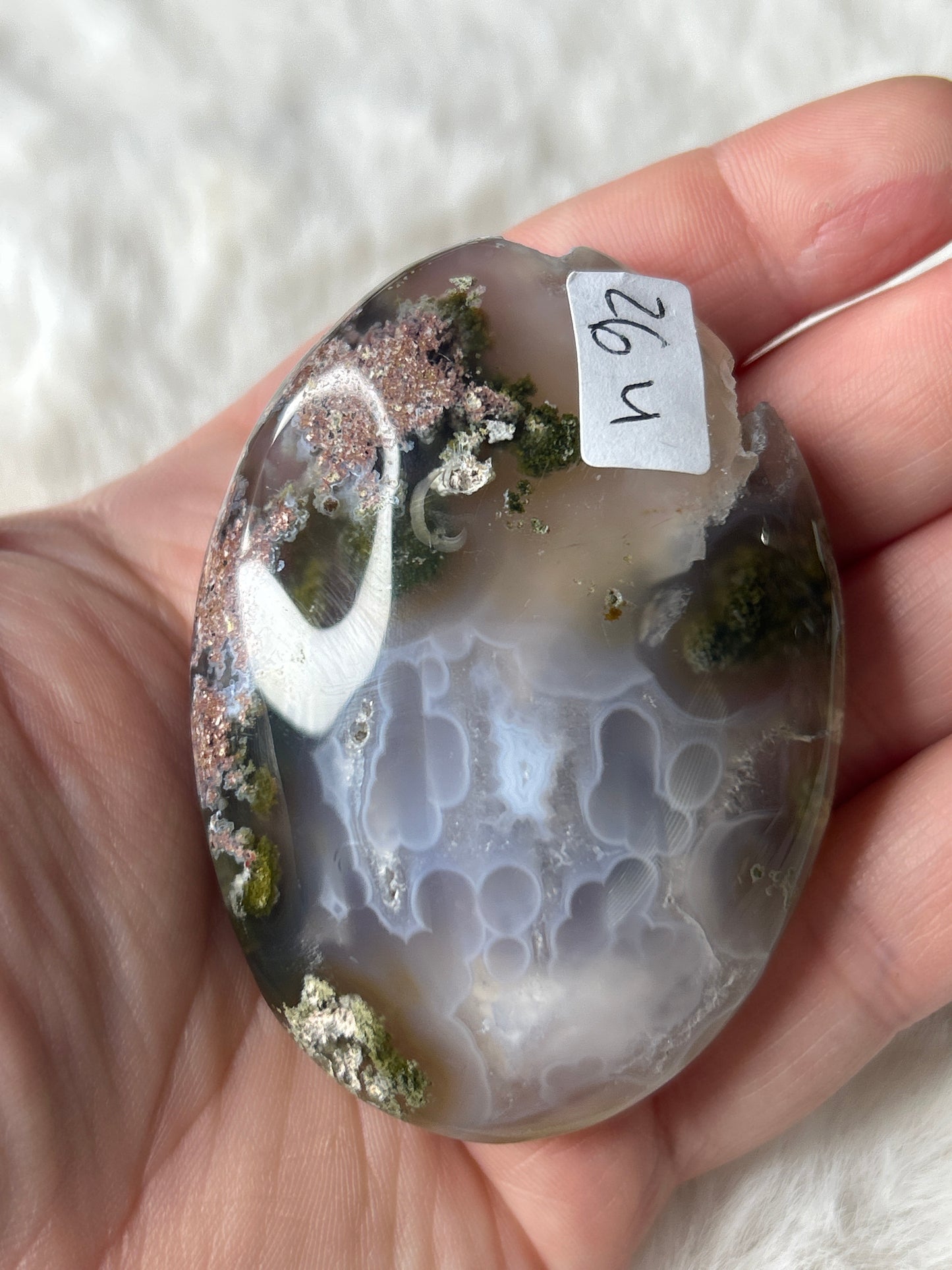 Scenic Moss Agate Palm