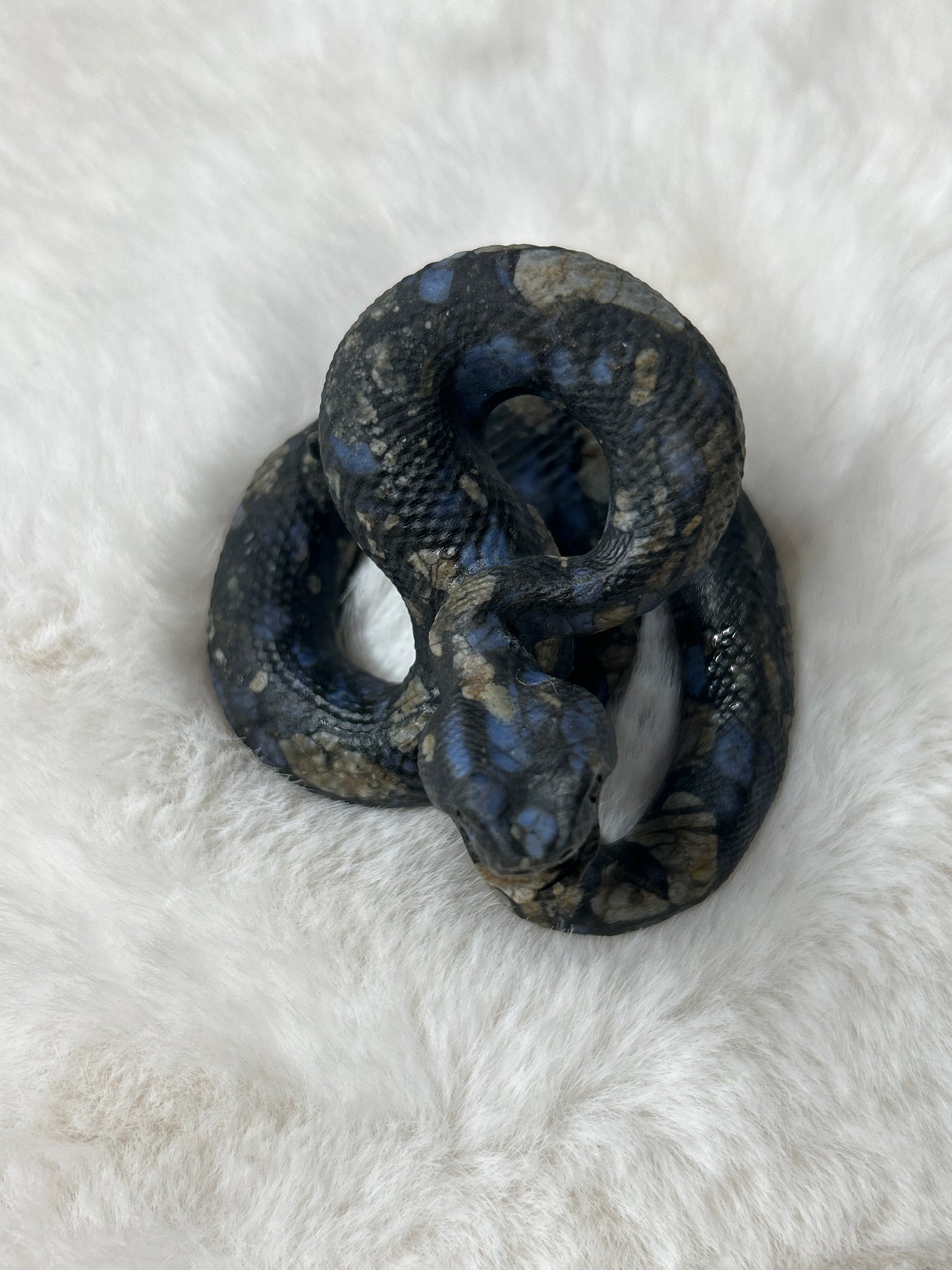 Que Sera Snake
