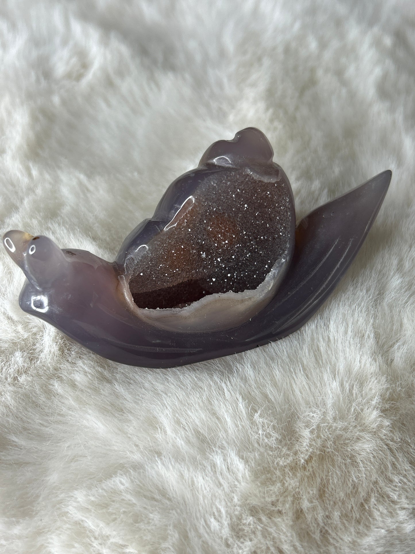 Druzy Agate Snail