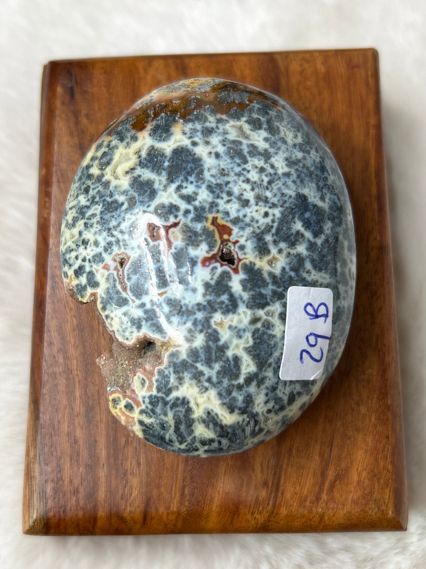 Marcasite & Agate Palm Stone- Indonesia
