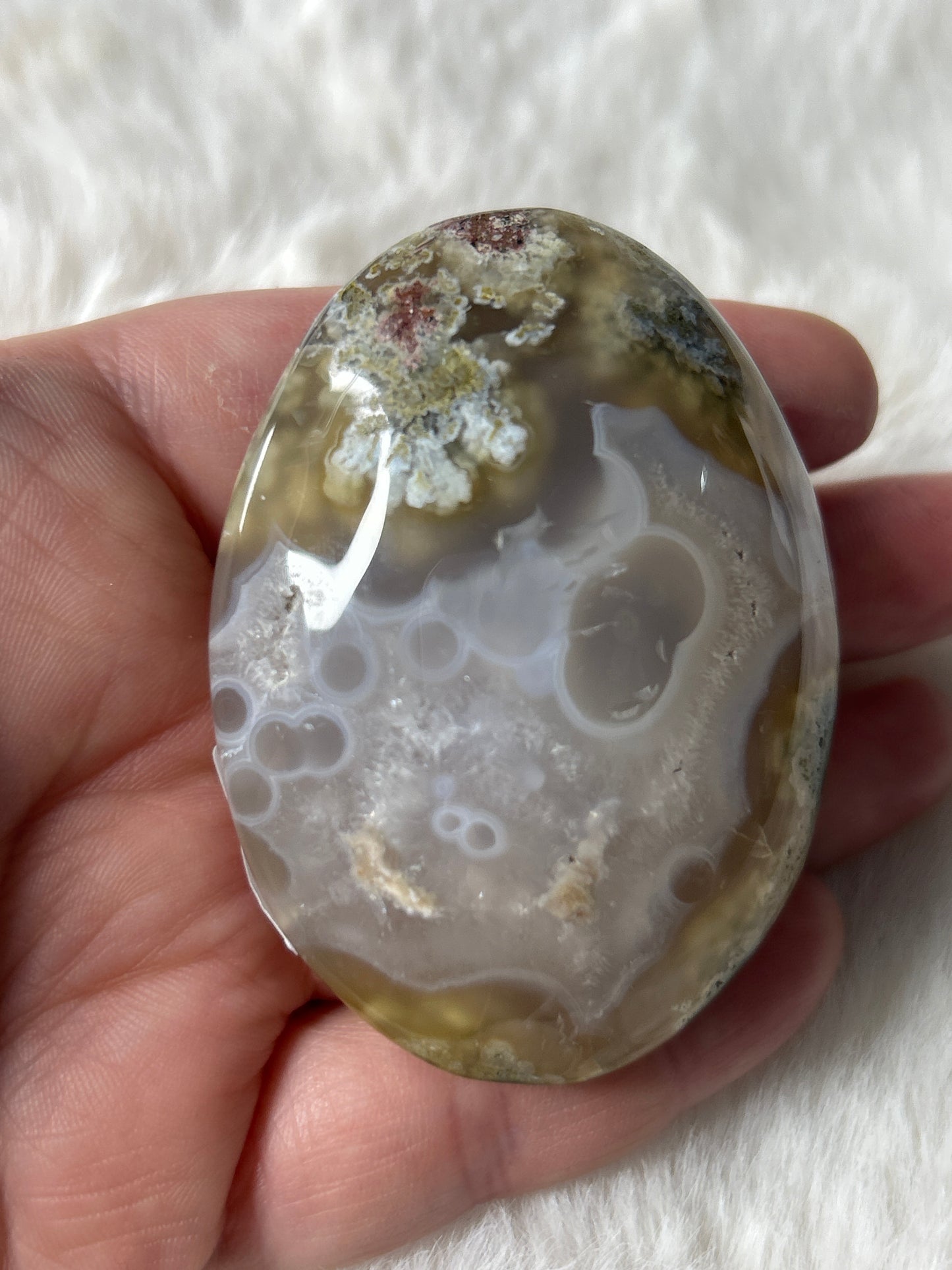 Scenic Moss Agate Palm