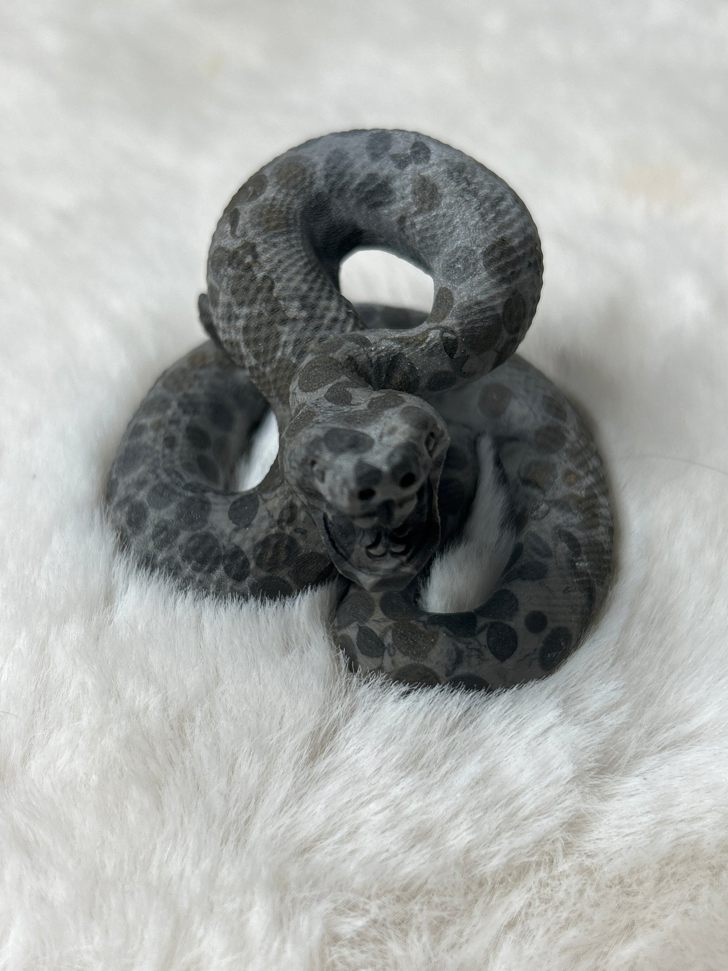 Spotted Snake