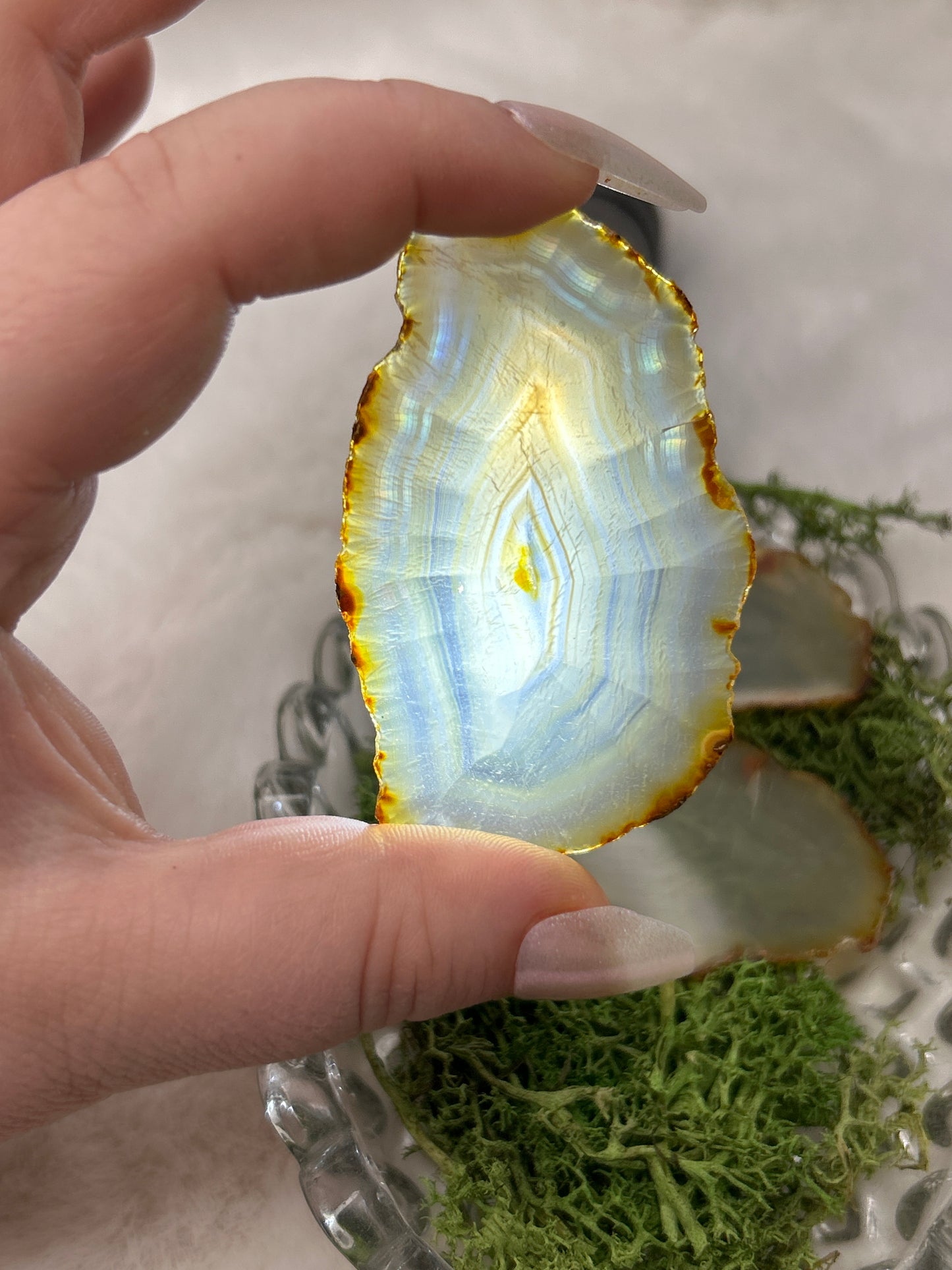 Iris Agate Slice π-Indonesia