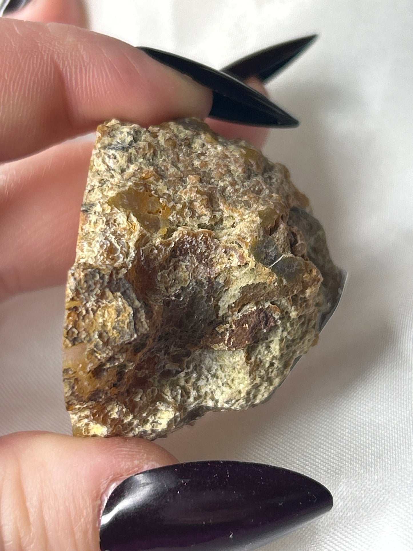 Golden Nectar Laguna Agate