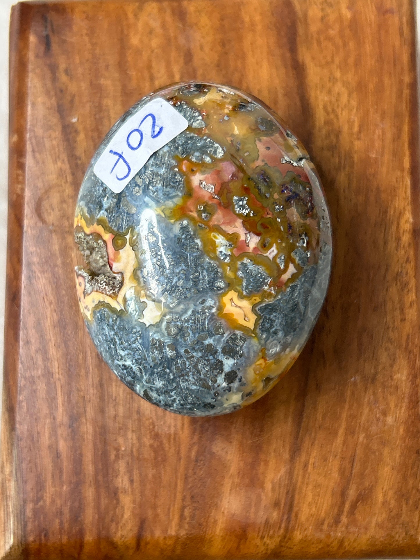 Marcasite & Agate Palm Stone - Indonesia