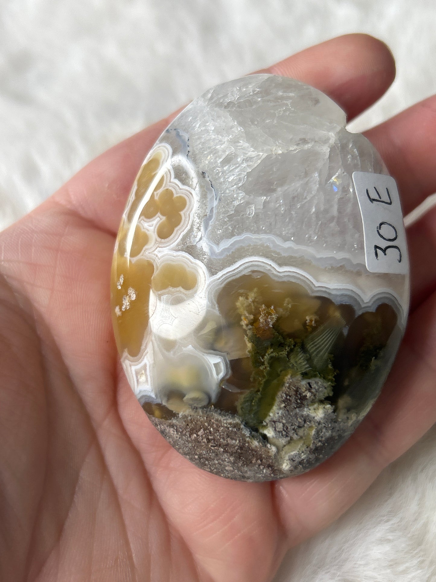 Scenic Moss Agate Palm