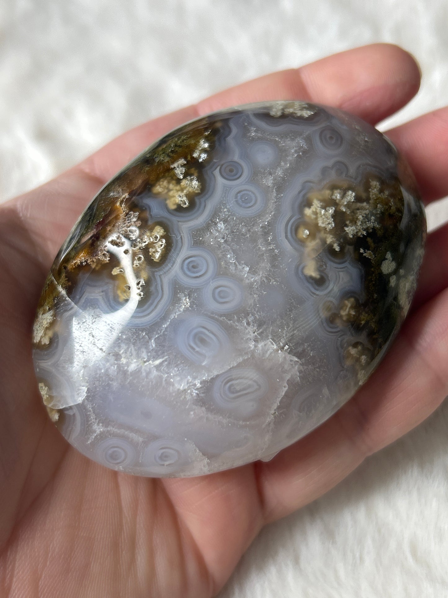 Scenic Moss Agate Palm