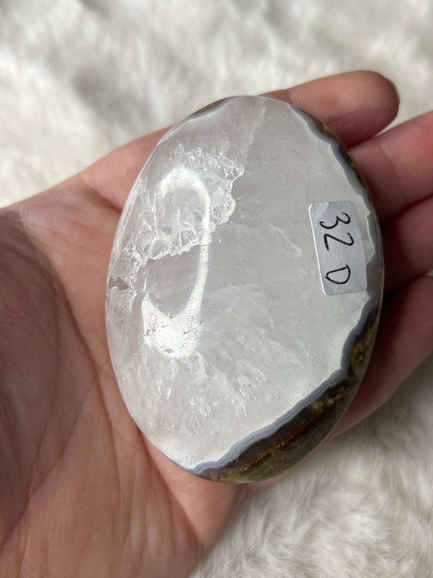 Scenic Moss Agate Palm