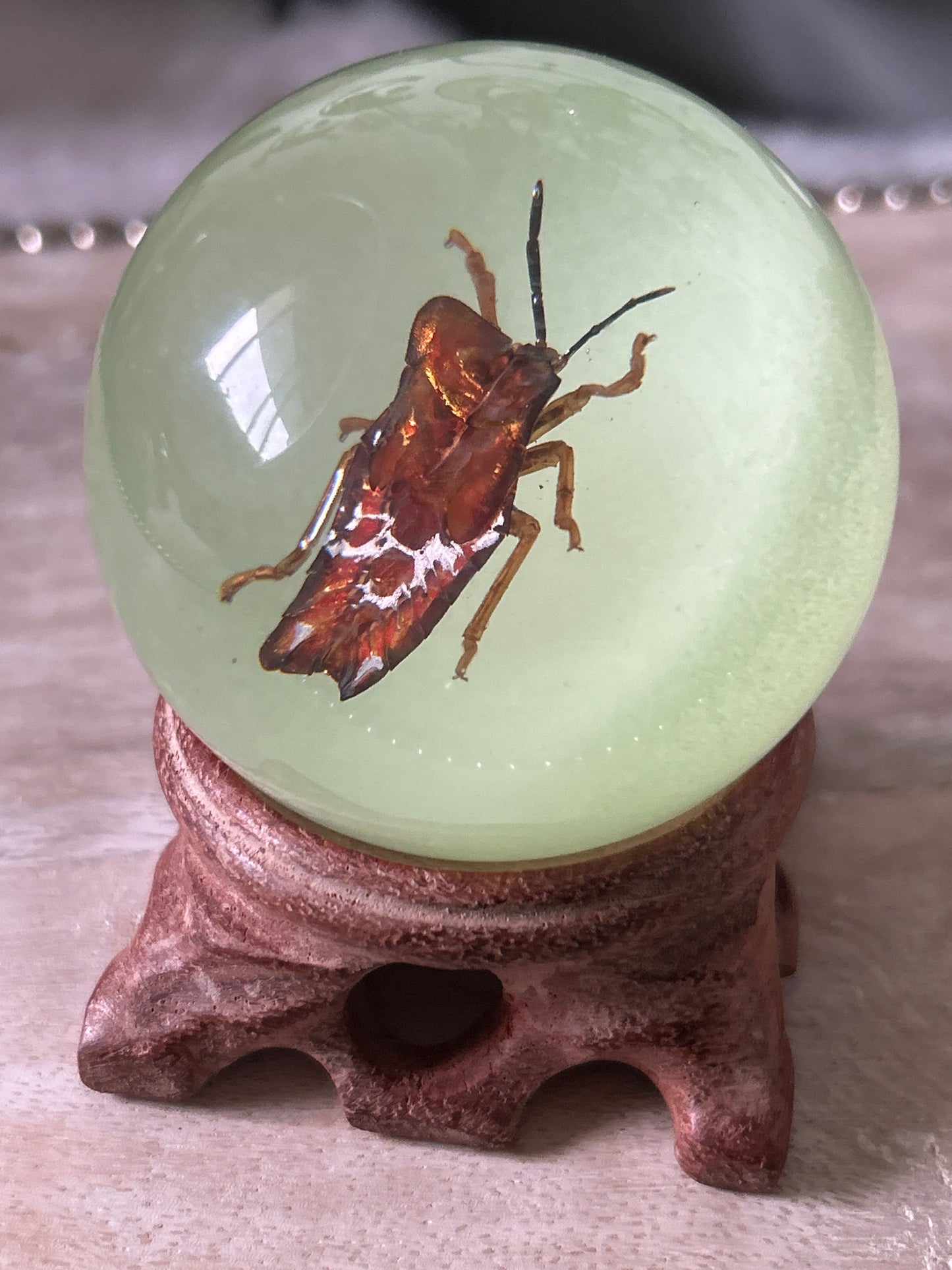 Stink Bug Glow in the Dark Specimen Sphere