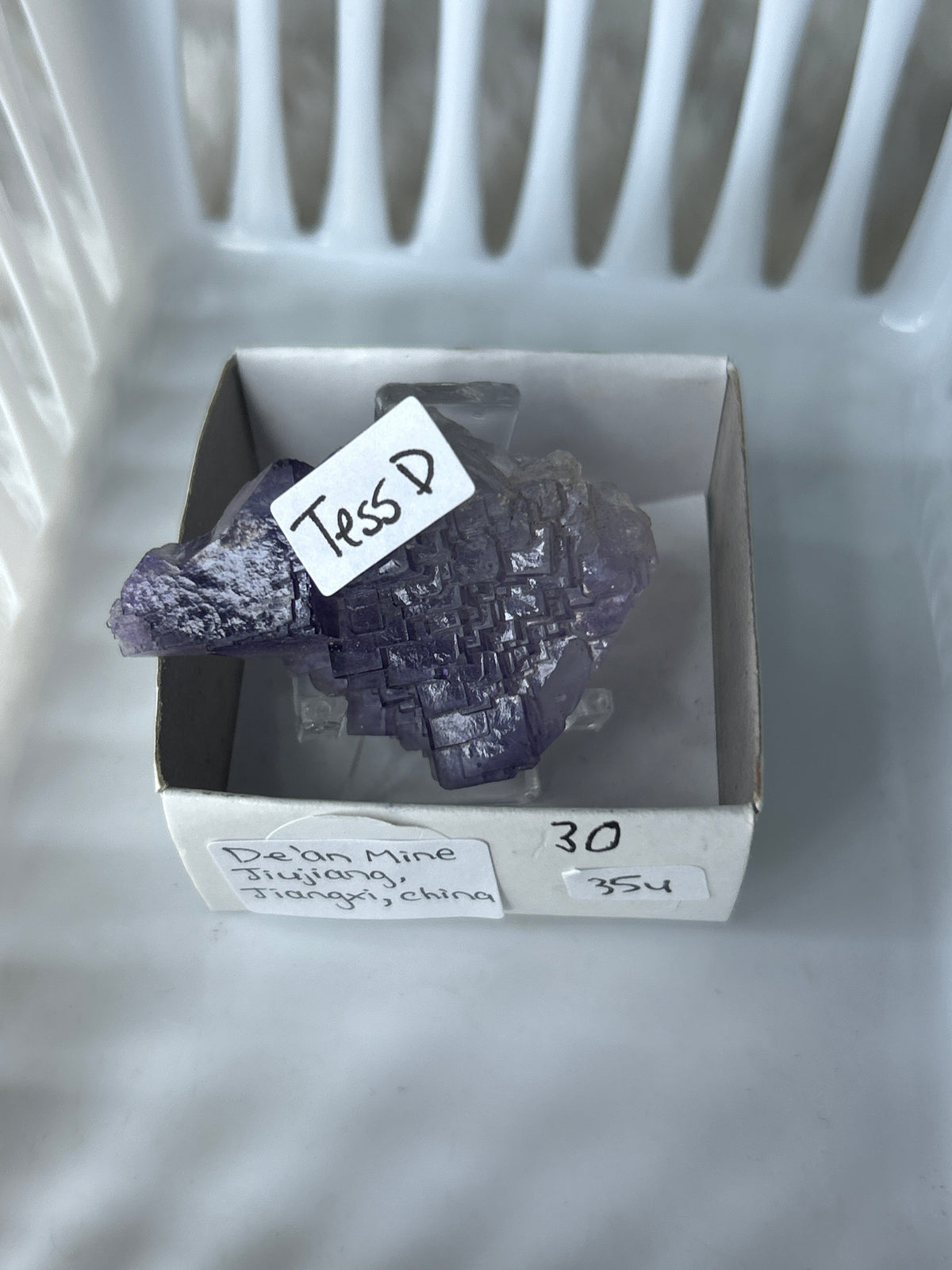 Tess D