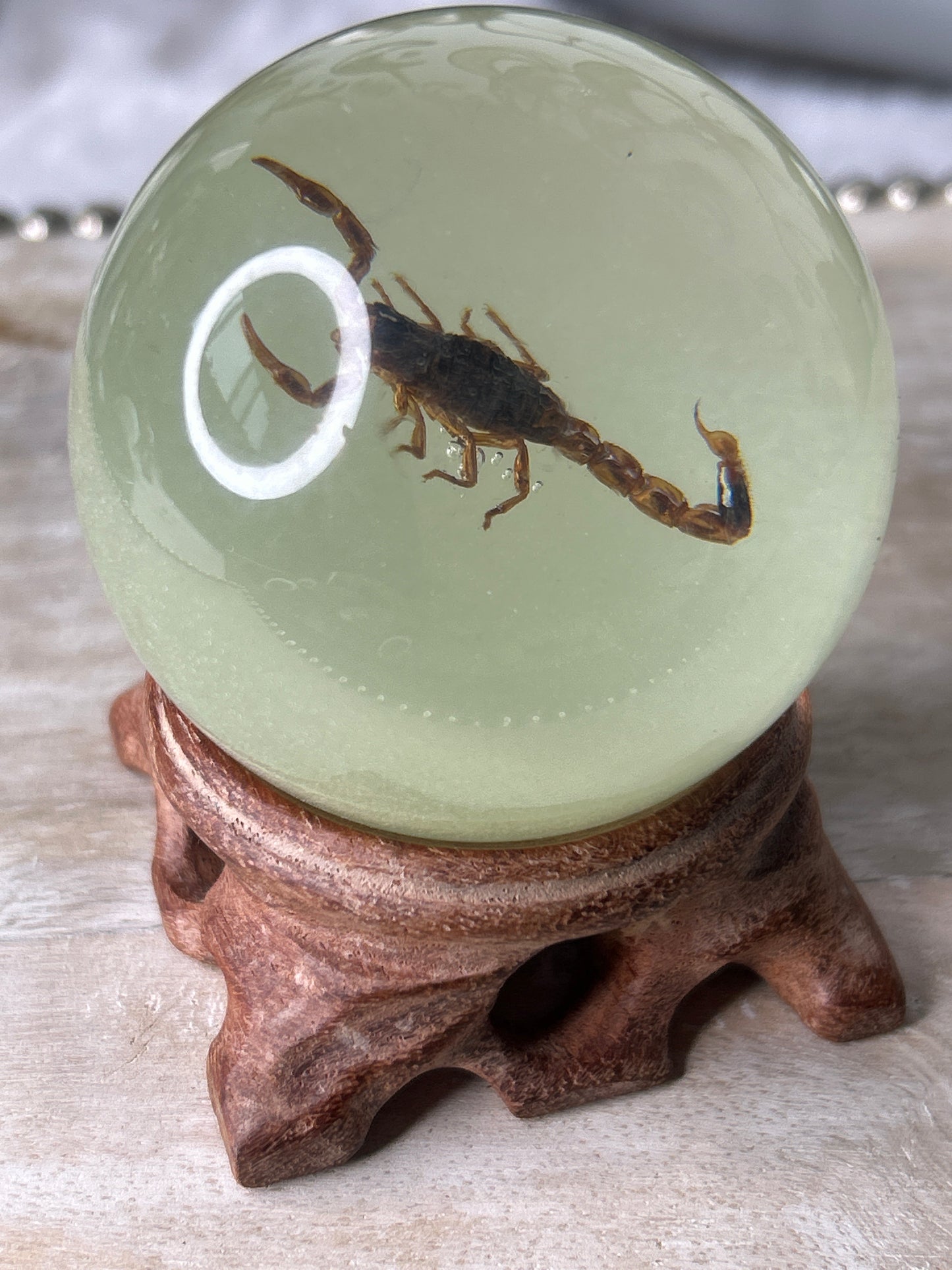 Scorpion Glow in the Dark Specimen Sphere