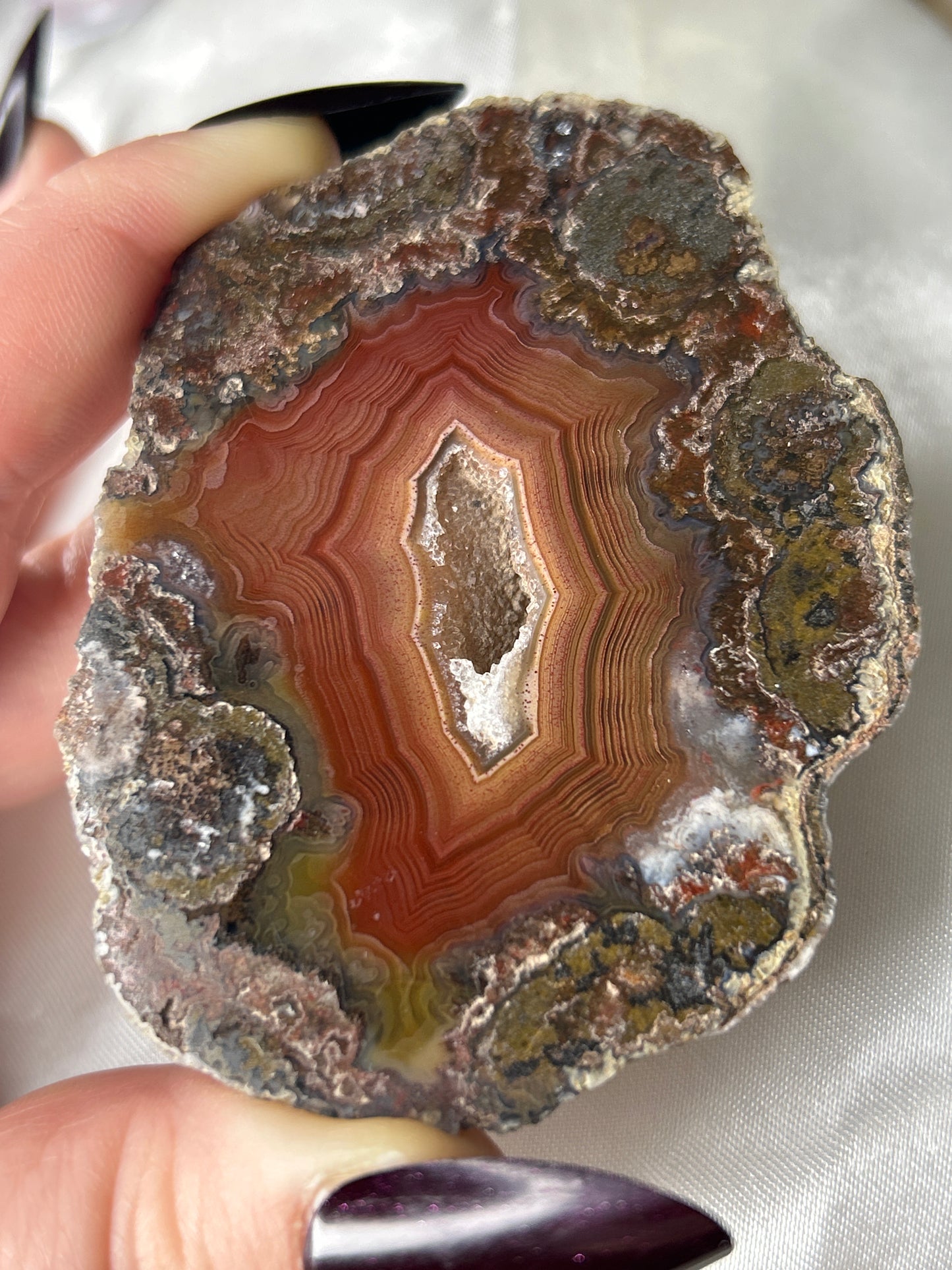 Laguna Agate Polished Half Nodule