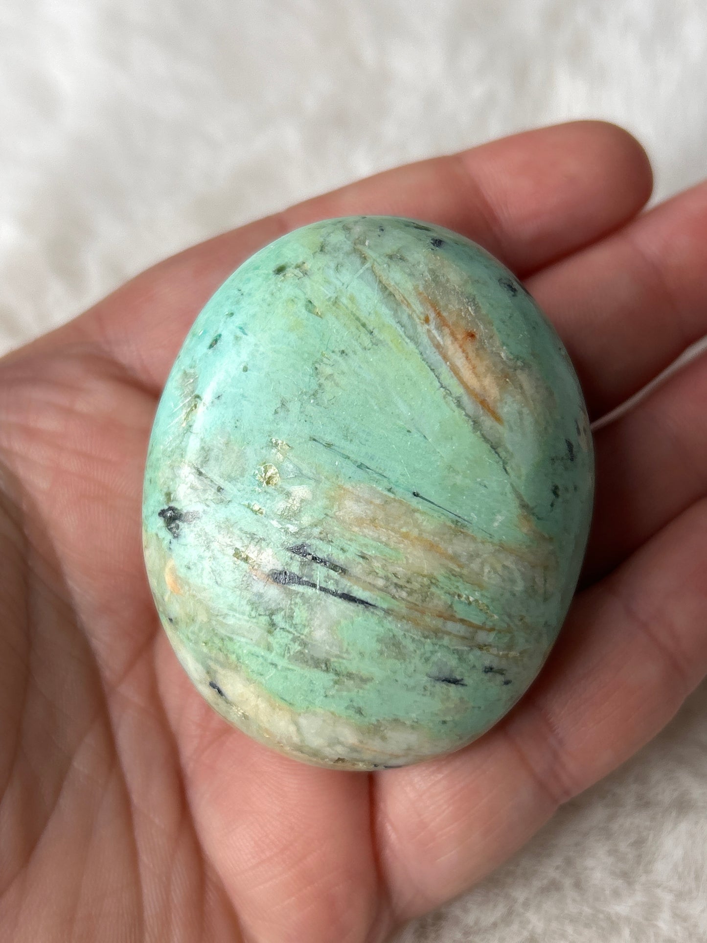 Peruvian Turquoise Palm