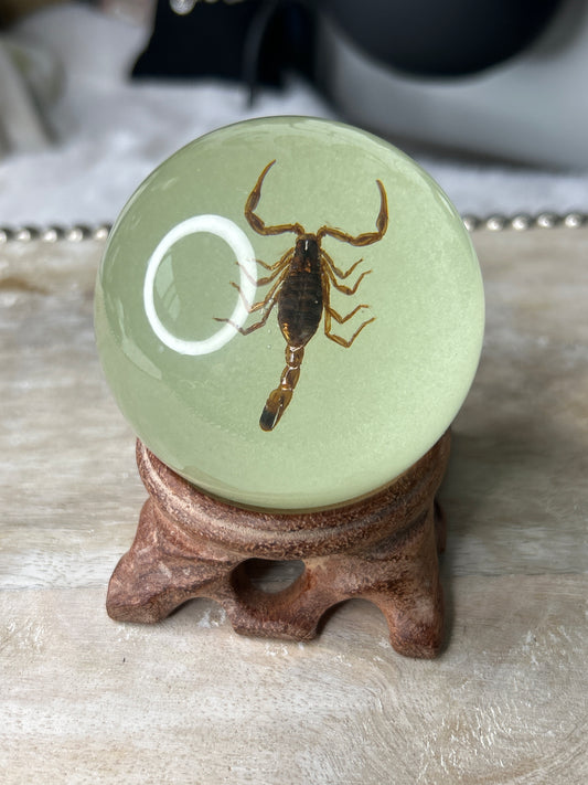 Scorpion Glow in the Dark Specimen Sphere