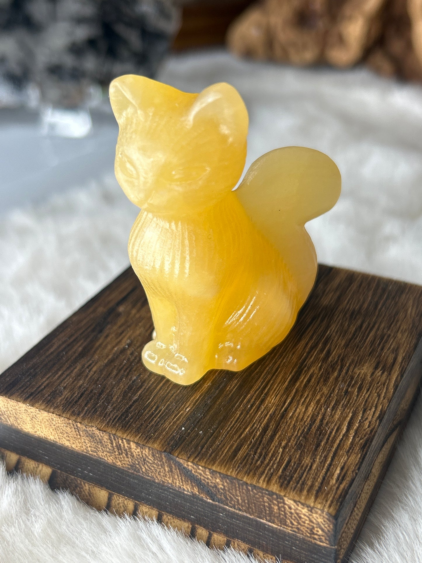 Orange Calcite Cat