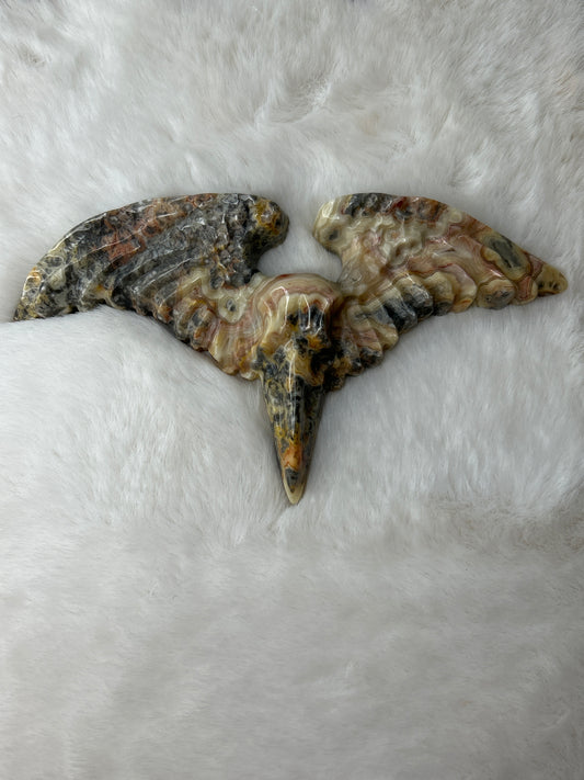 Crazy Lace Agate Raven Skull & Wings