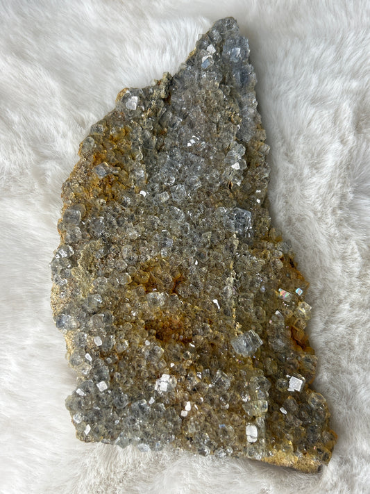 Cubic Fluorite on Matrix