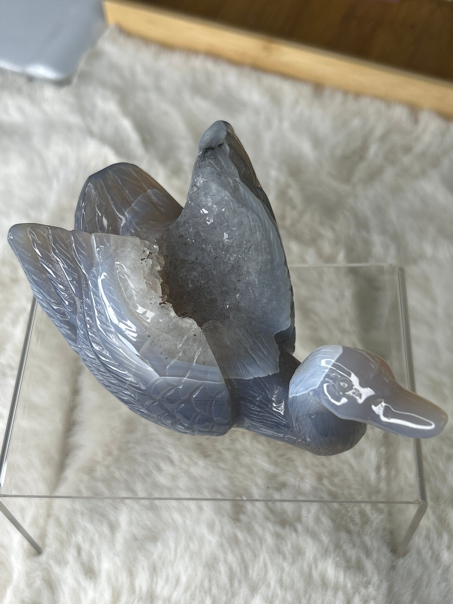 Druzy Agate Swan 🦢