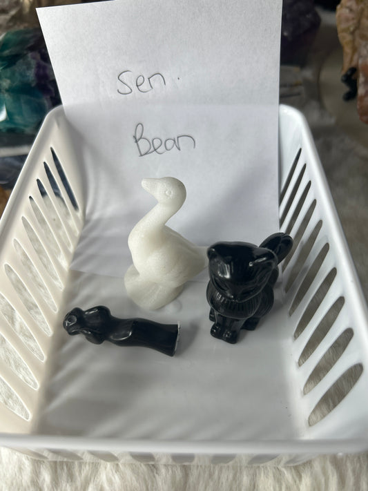 Sensuous bean
