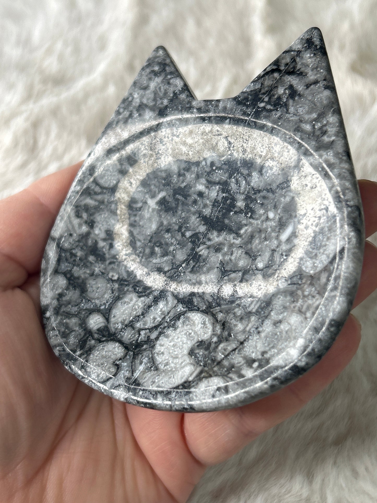 Fossil Cat Dish