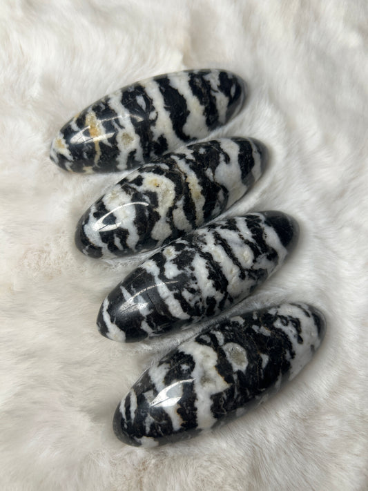 Zebra Jasper Lingham