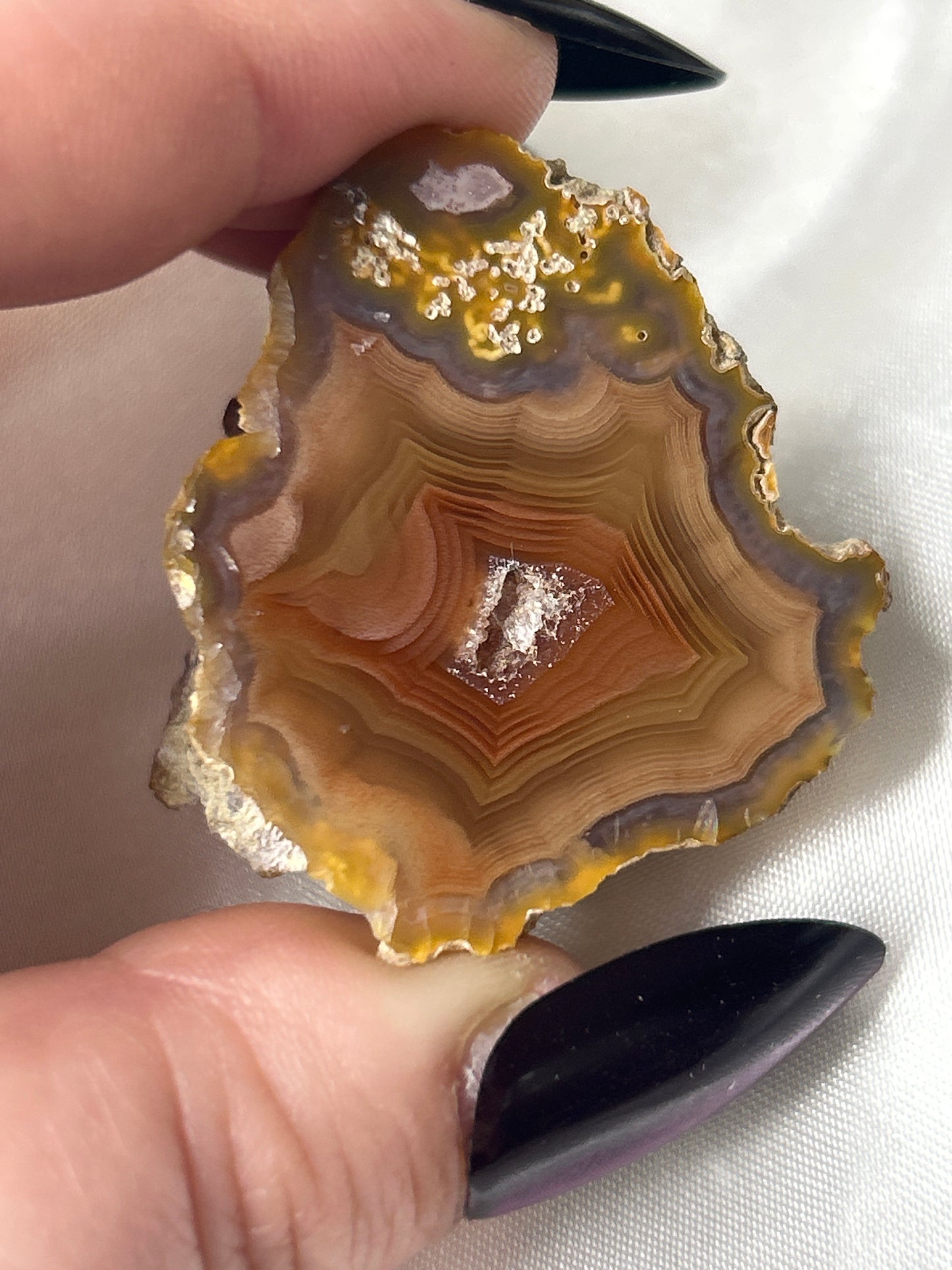 Golden Nectar Laguna Agate