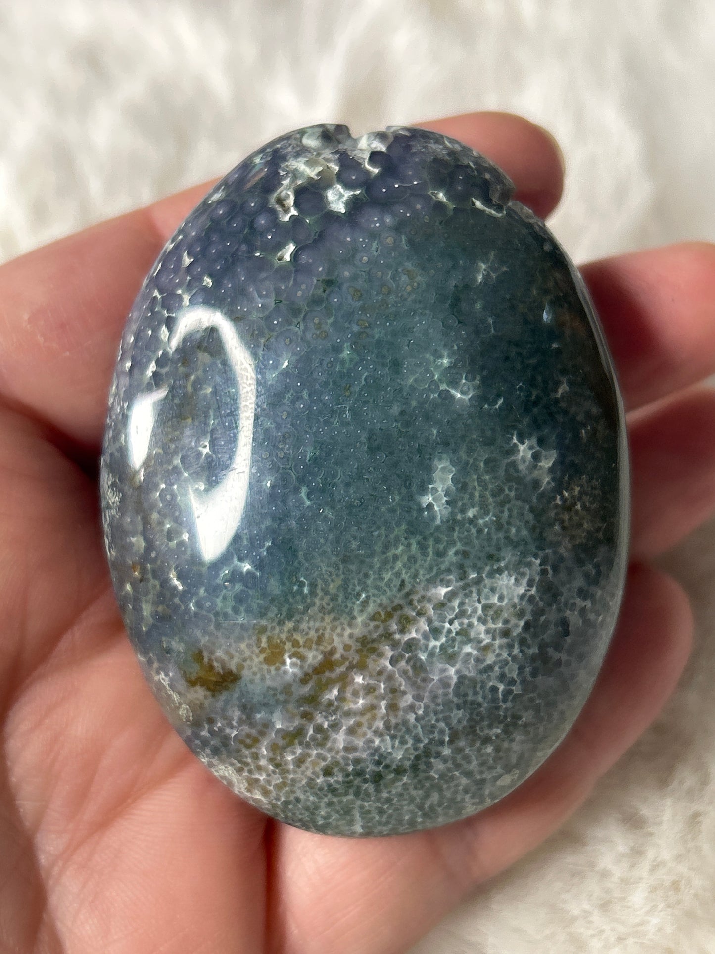 Grape Agate Palm