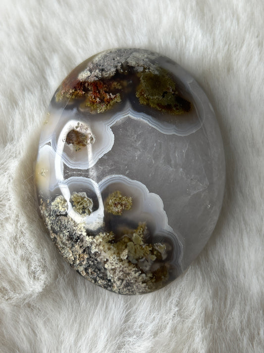 Scenic Moss Agate Palm