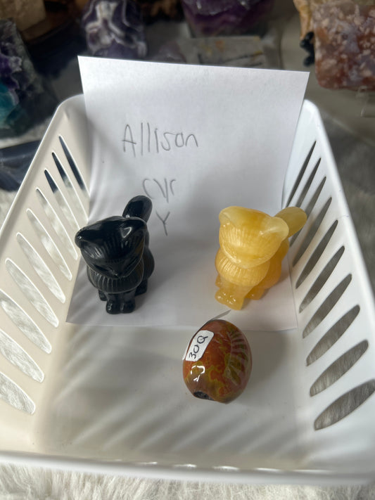 Allison cyr Y