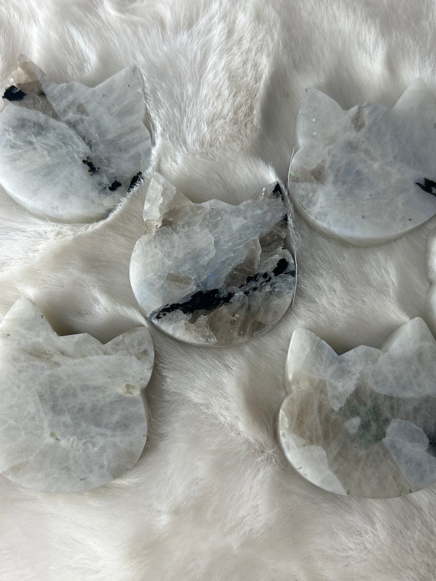 Rainbow Moonstone Cat