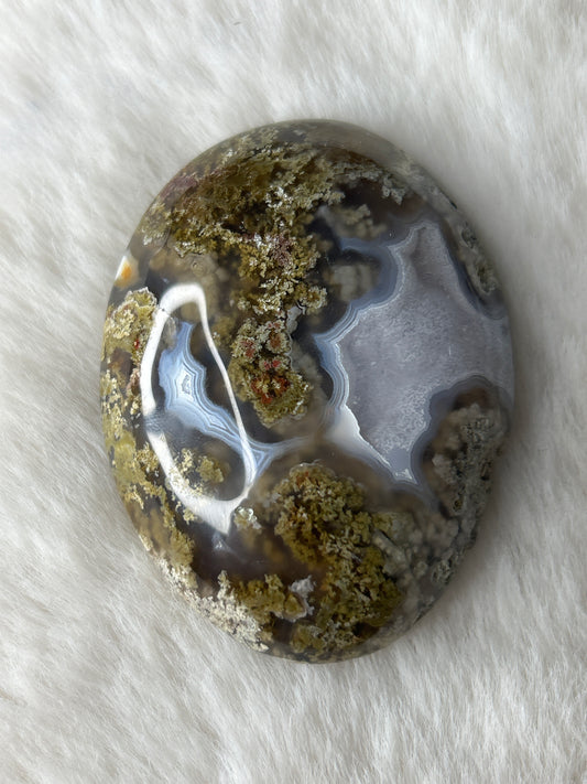 Scenic Moss Agate Palm