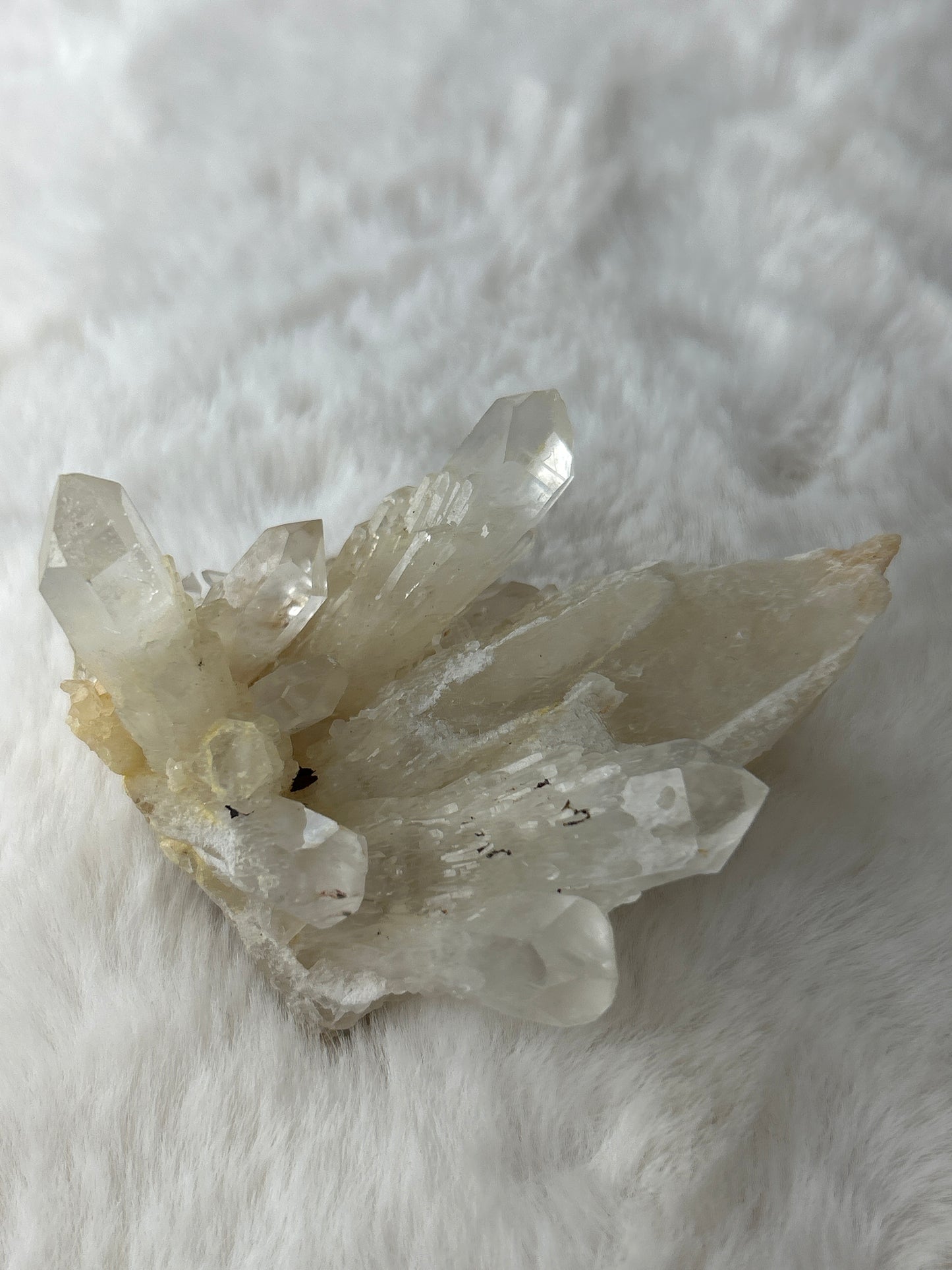 Pineapple Quartz Cluster