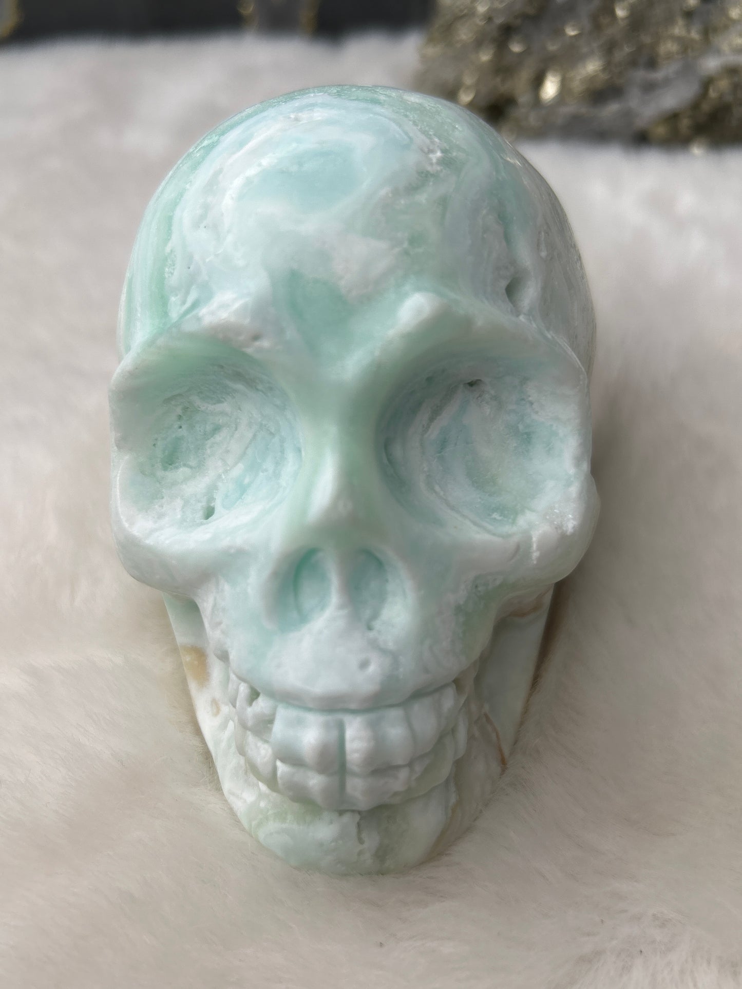 Caribbean Calcite Skull