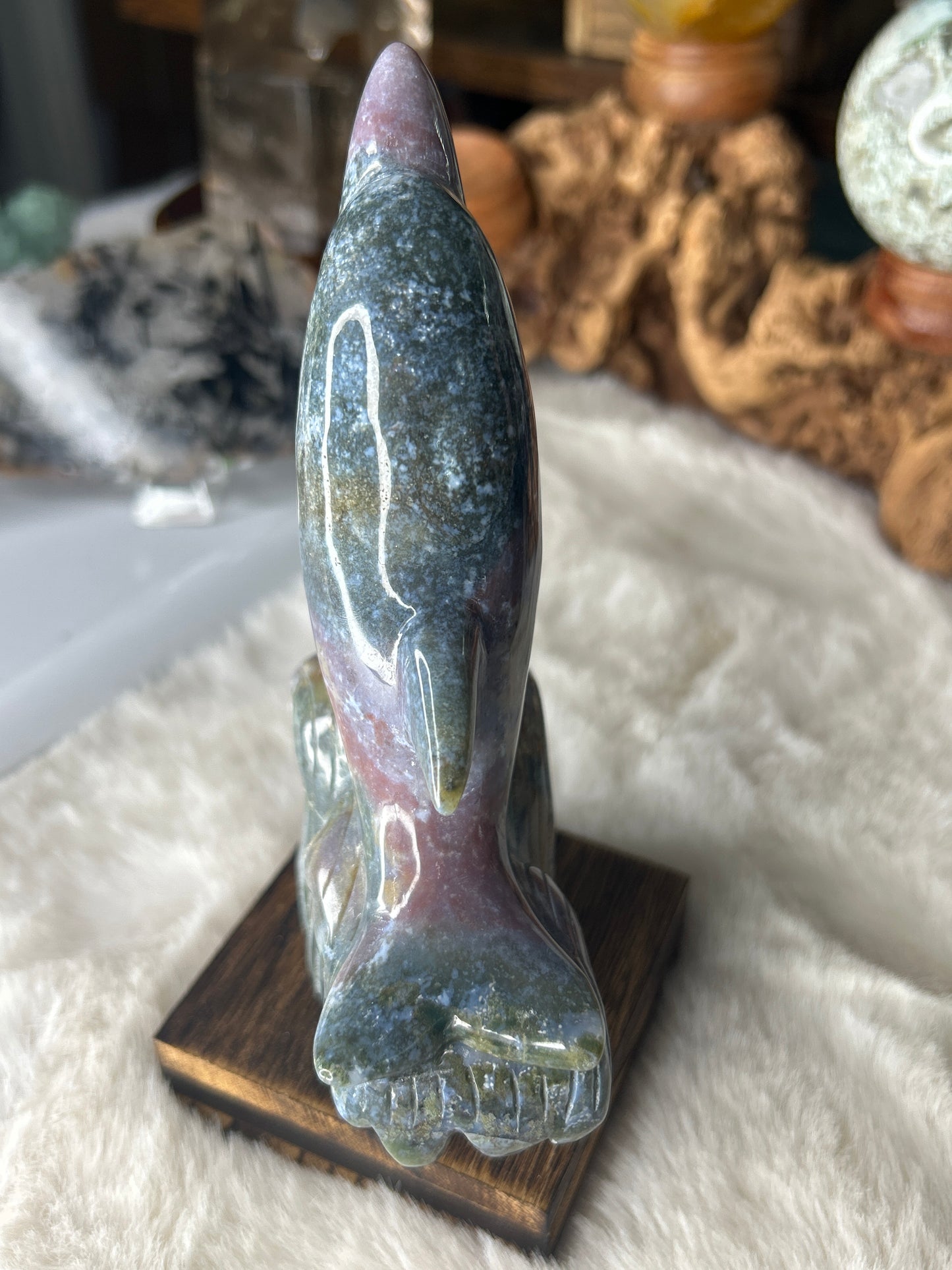 Ocean Jasper Dolphin