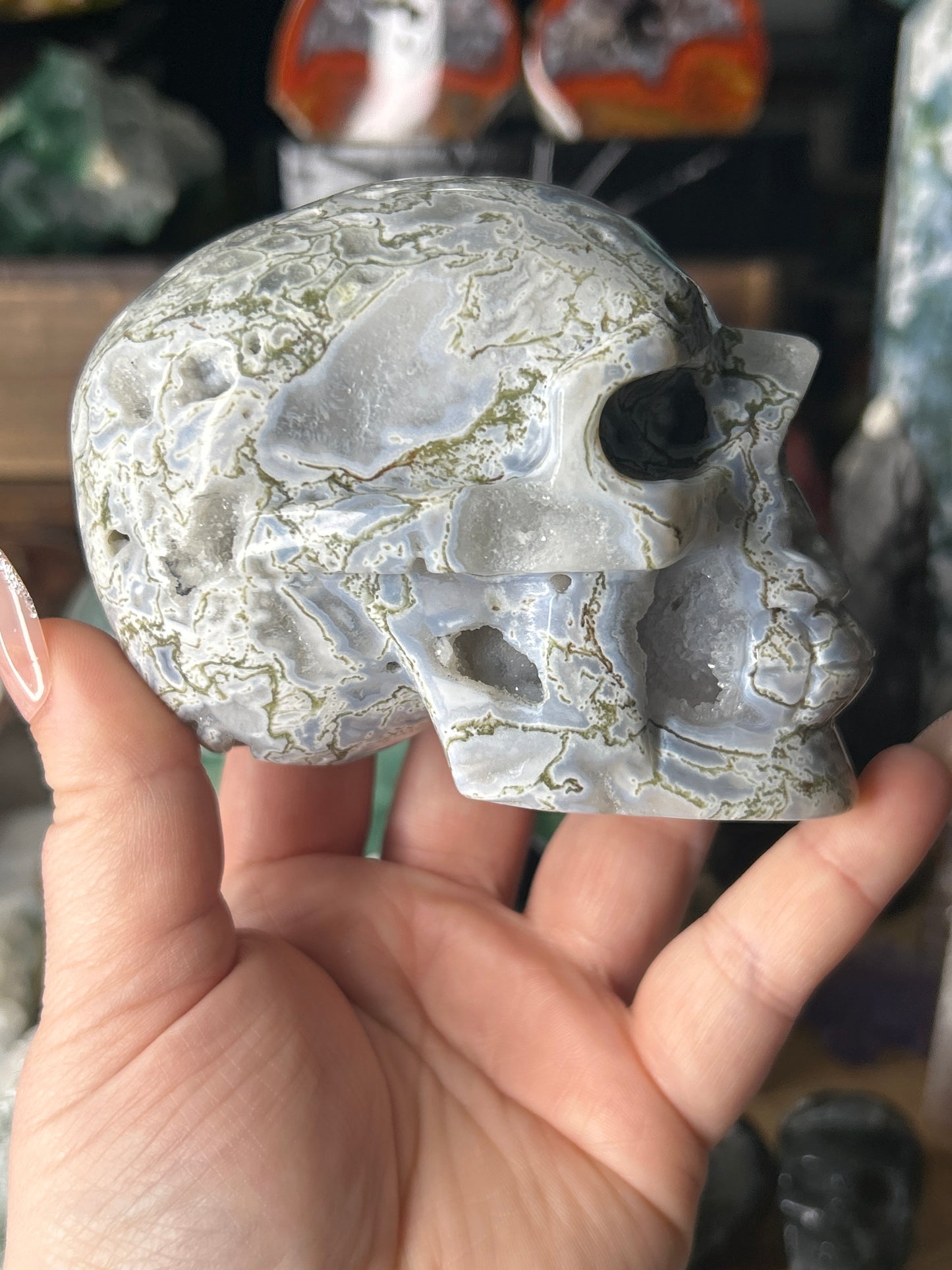 Druzy Moss Agate Skull