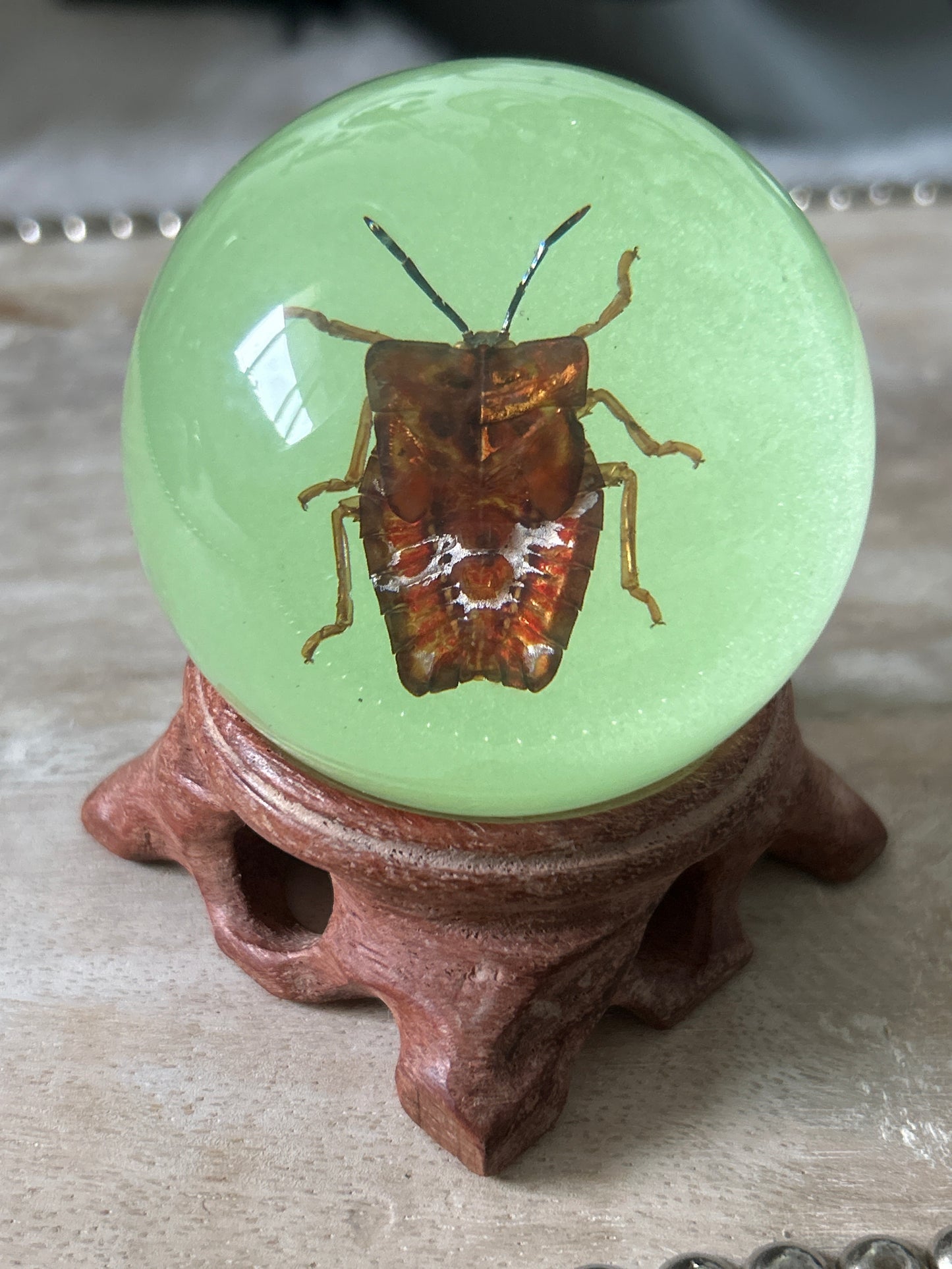 Stink Bug Glow in the Dark Specimen Sphere