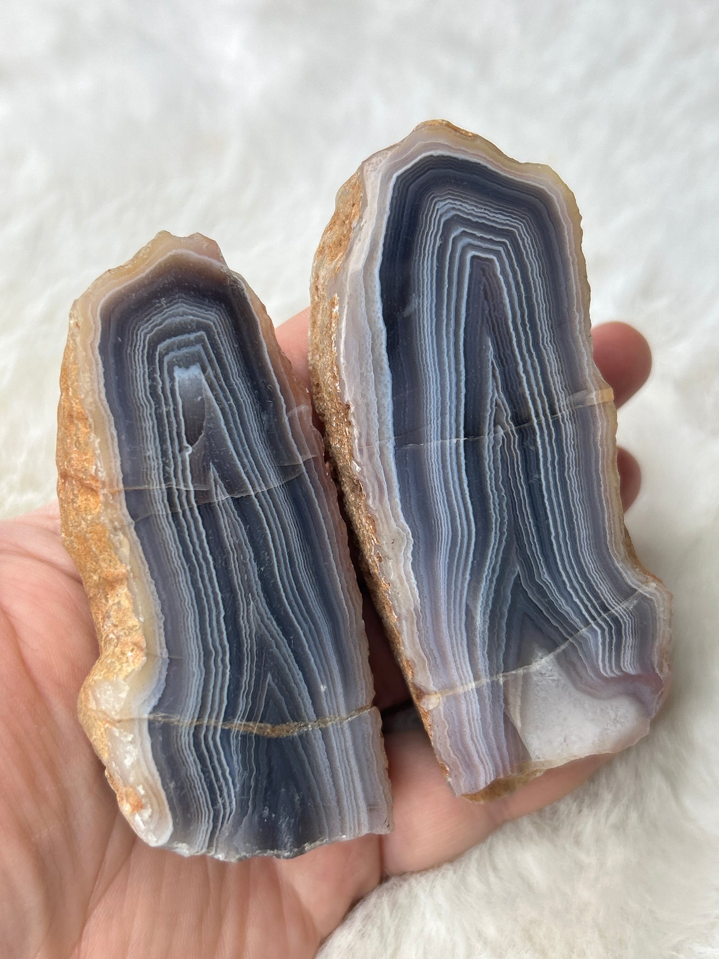 Red Sashe River Agate *Pair*- Zimbabwe