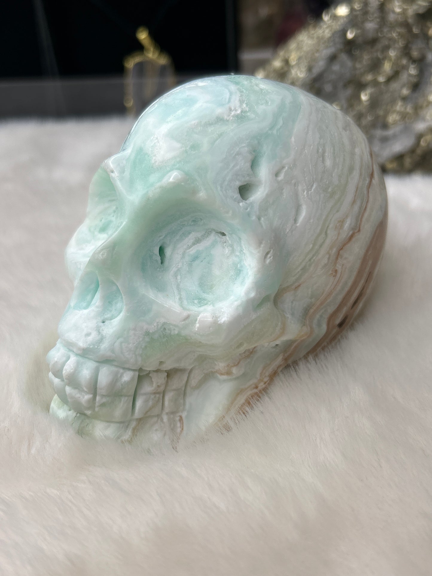 Caribbean Calcite Skull