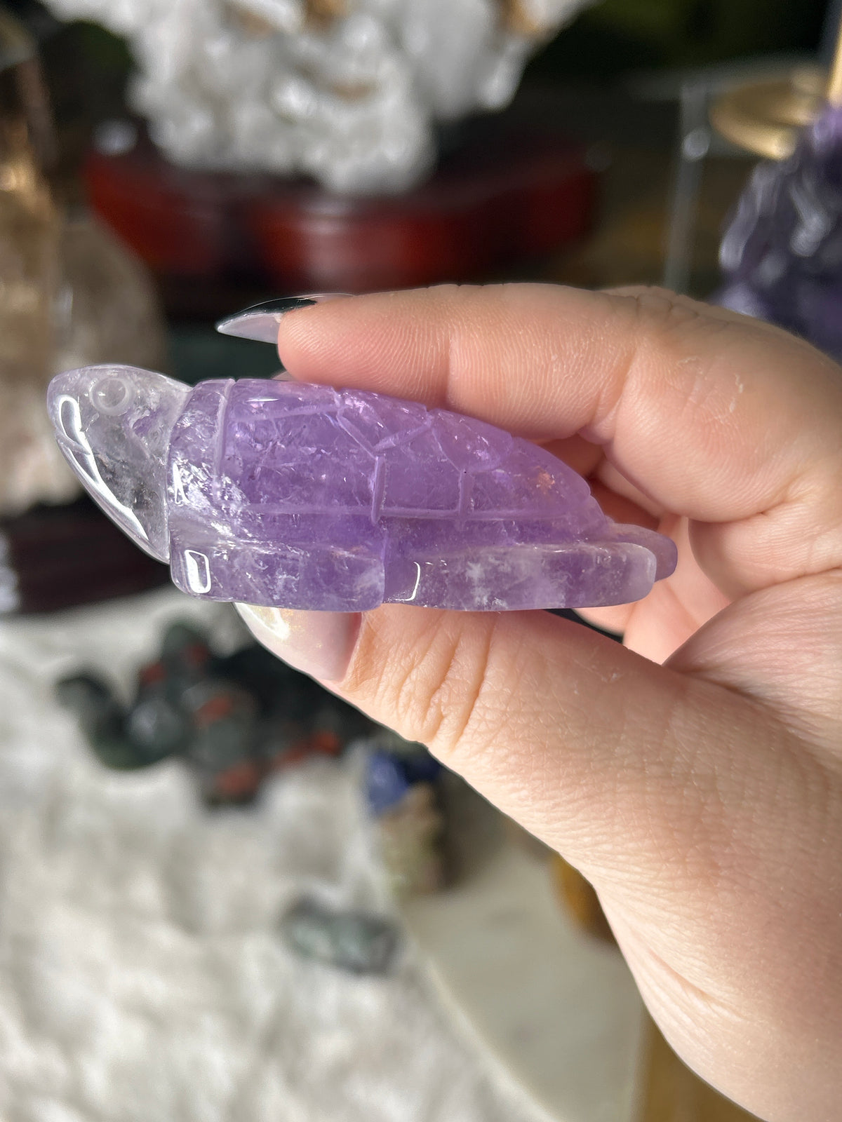 Amethyst Sea Turtle